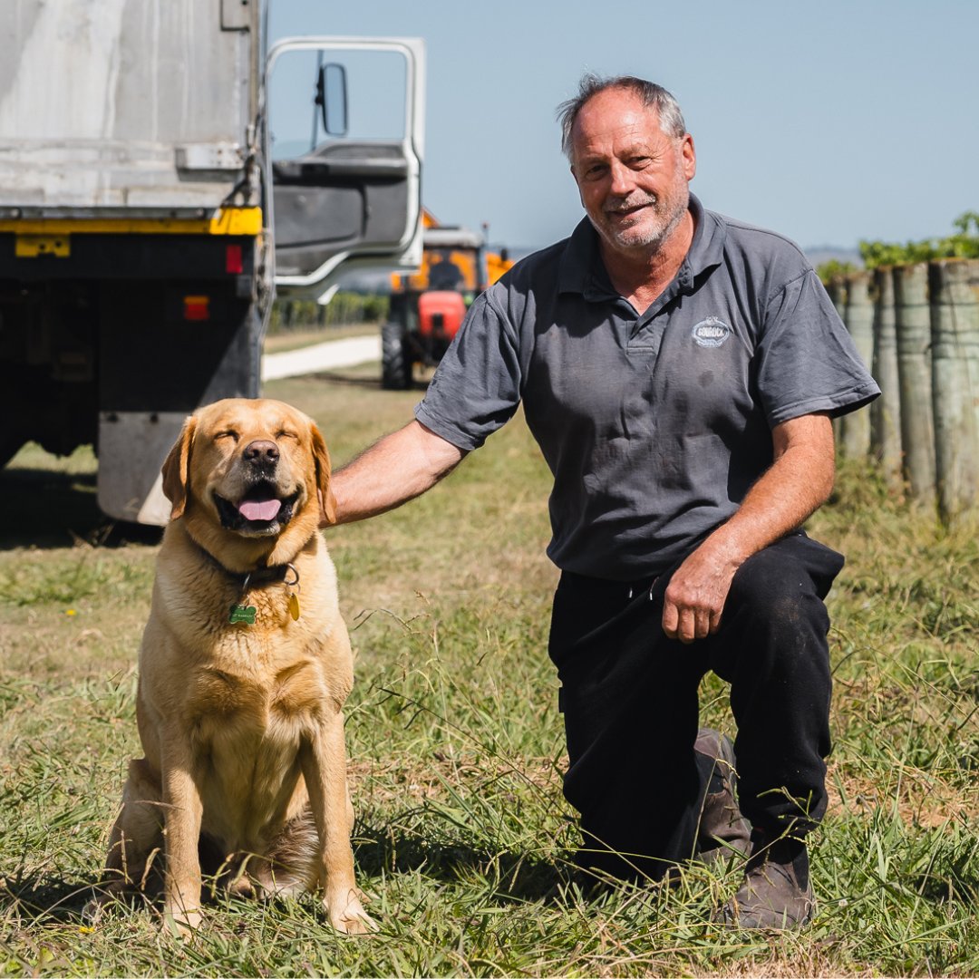Winery worker kneeling beside a golden Labrador on grass, with a truck and vineyard rows visible behind them