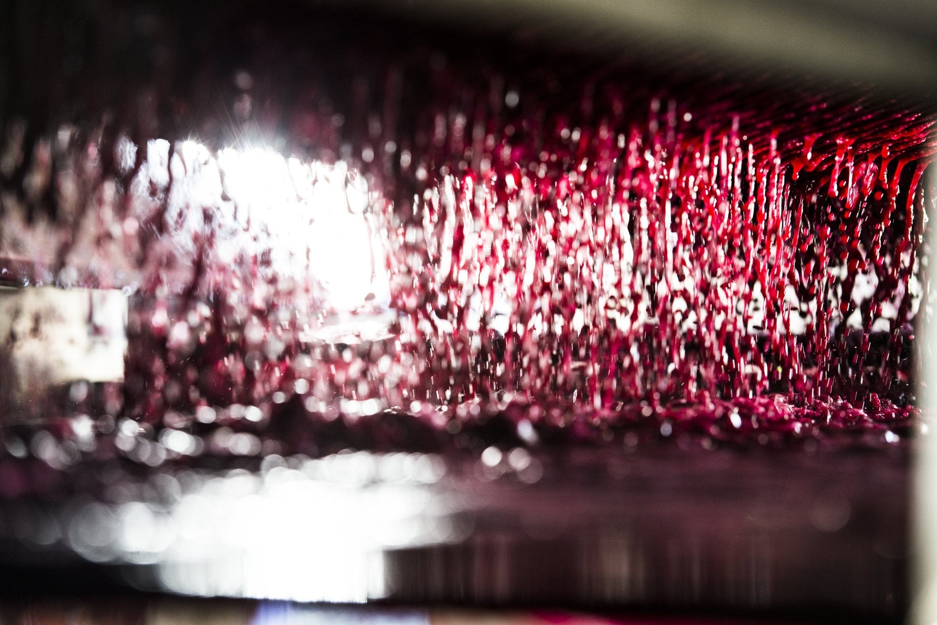Fresh grape juice flowing from the press during harvest at Pask Winery
