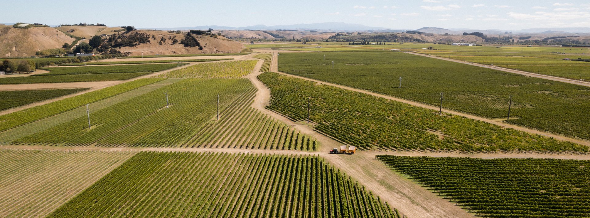 Aerial view of Pask Gimblett Gravels Vineyard blocks divided by dirt tracks, with Hawke's Bay hills and valley behind