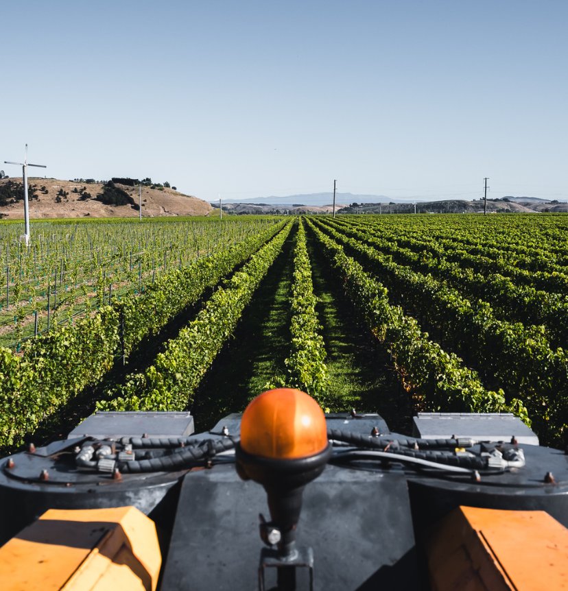 View from a tractor cab looking down Pask Gimblett Gravels Vineyard rows toward Hawke's Bay hills